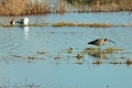 04 11 13_9667_edited-1